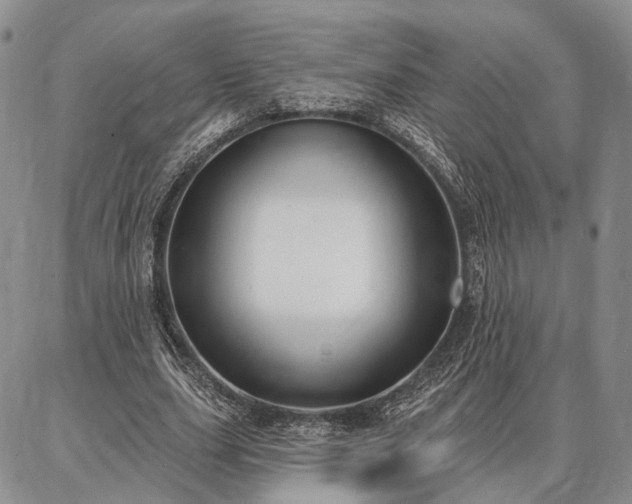 X0000086880631200704231104