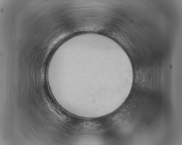 X0000086880632200704231104