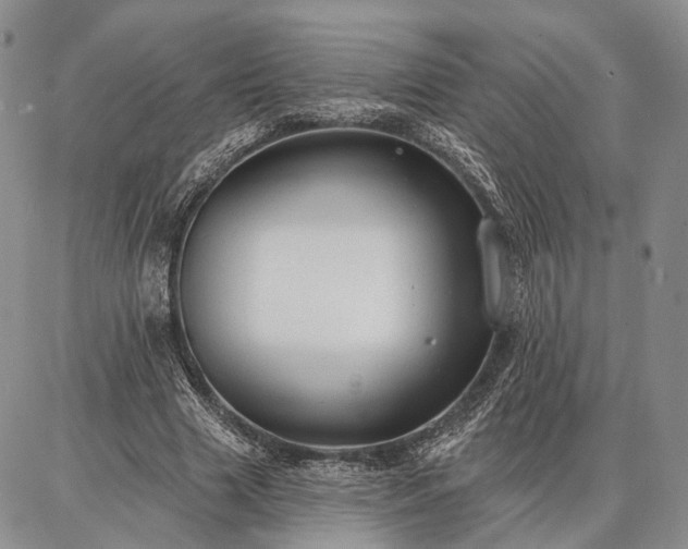 X0000086880633200704231104