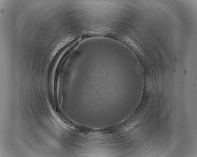 X0000086880634200704231104