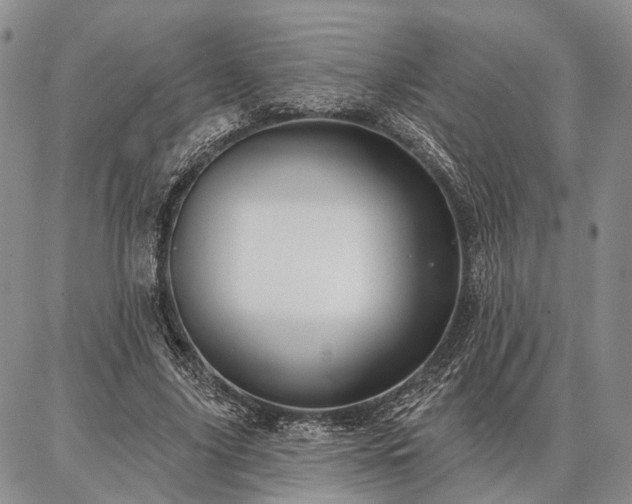 X0000086880635200704231104