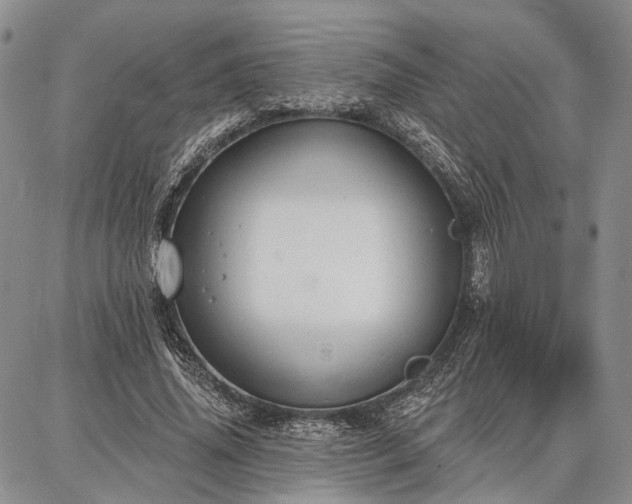 X0000086880636200704231104