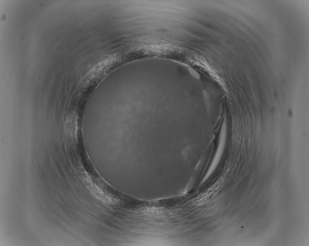 X0000086880637200704231104