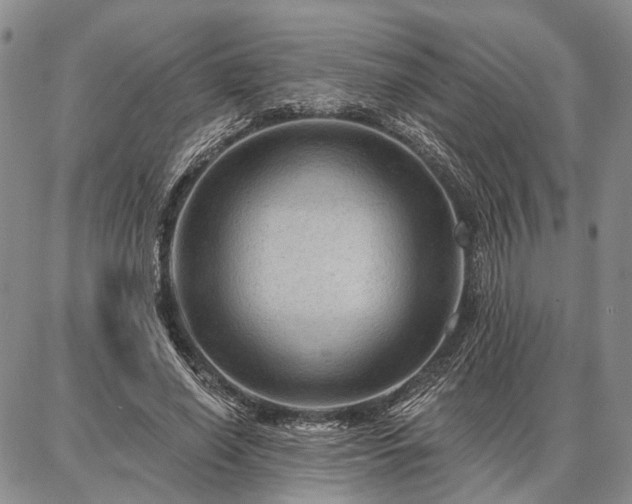 X0000086880638200704231104