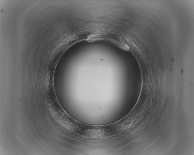 X0000086880639200704231104