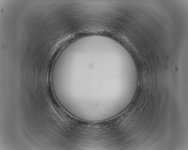 X0000086880640200704231104