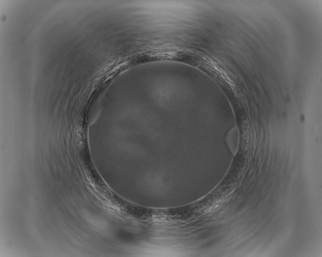 X0000086880641200704231104