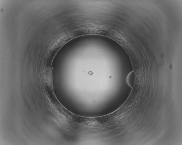 X0000086880642200704231104