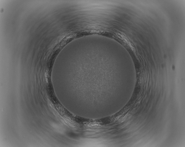 X0000086880643200704231104