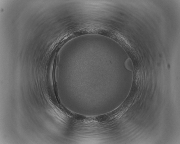 X0000086880644200704231104