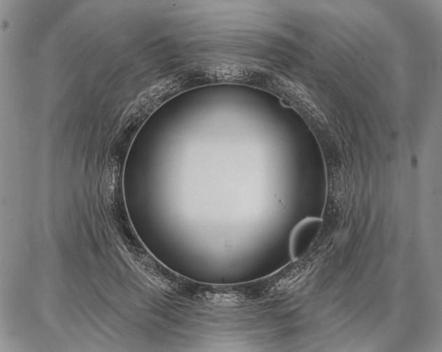 X0000086880645200704231104