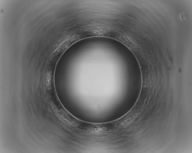 X0000086880646200704231104