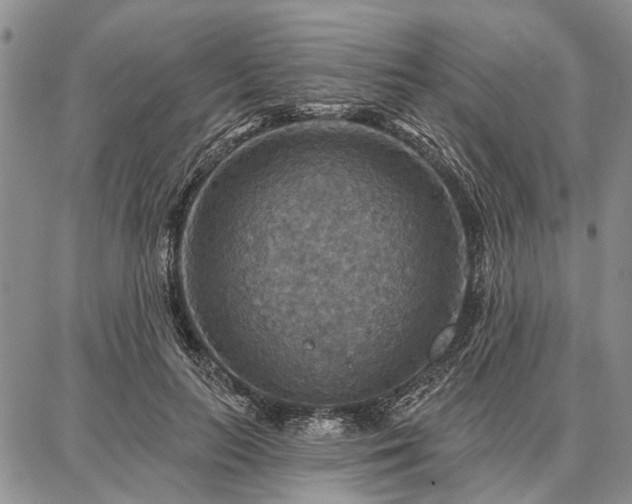 X0000086880647200704231104