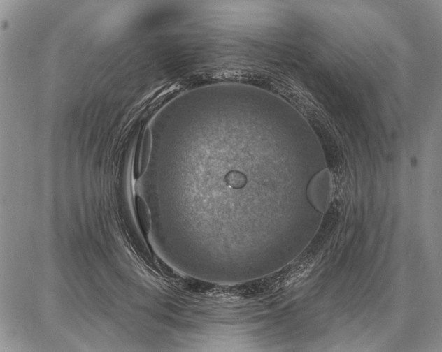 X0000086880648200704231104