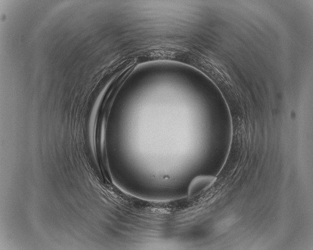 X0000086880649200704231104