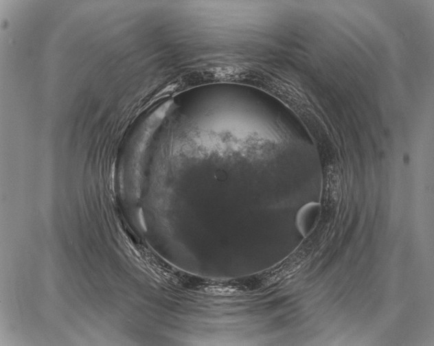 X0000086880650200704231104