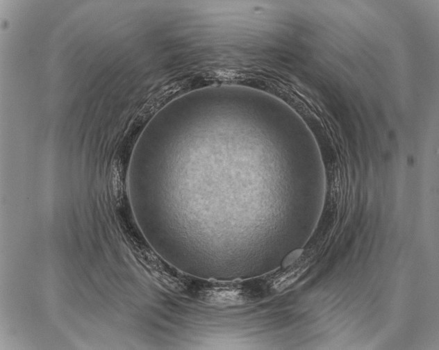 X0000086880651200704231104