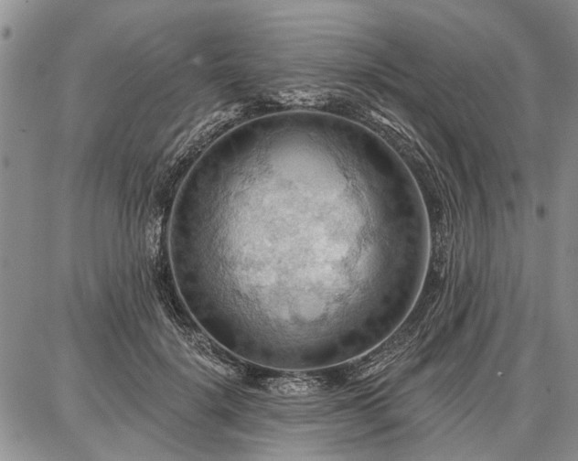 X0000086880652200704231104