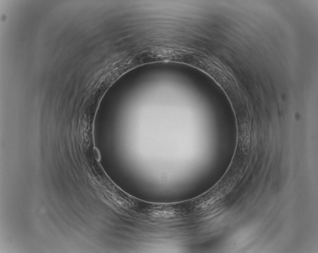 X0000086880653200704231104