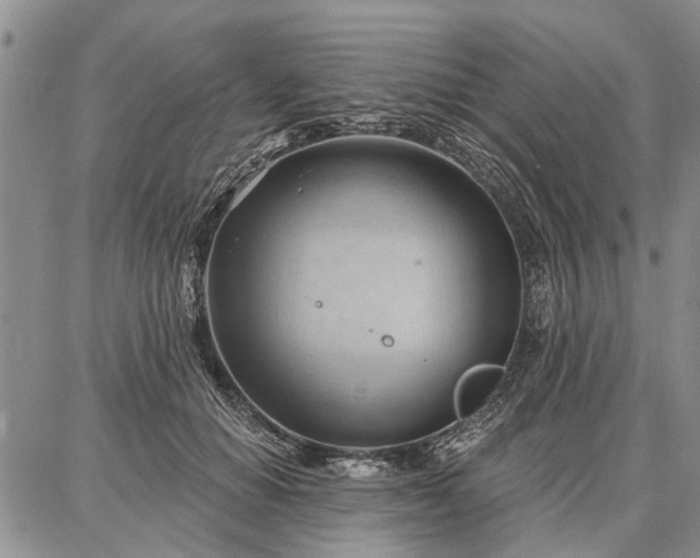 X0000086880654200704231104