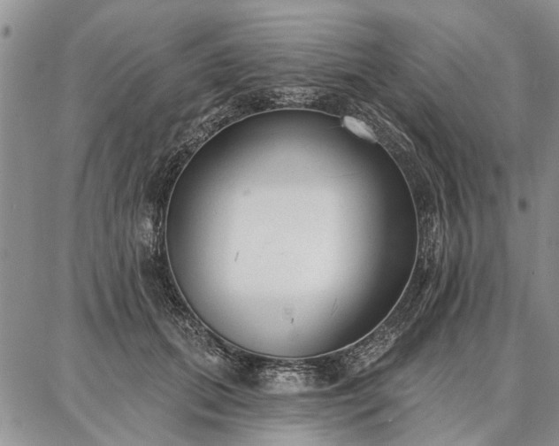 X0000086880655200704231104