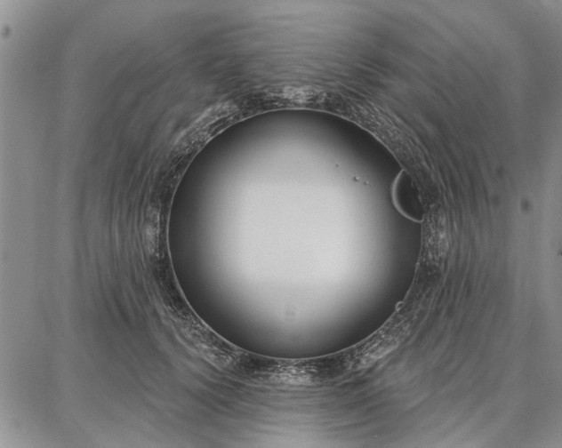 X0000086880656200704231104