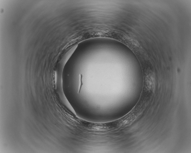 X0000086880657200704231104