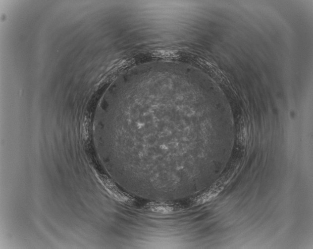 X0000086880658200704231104