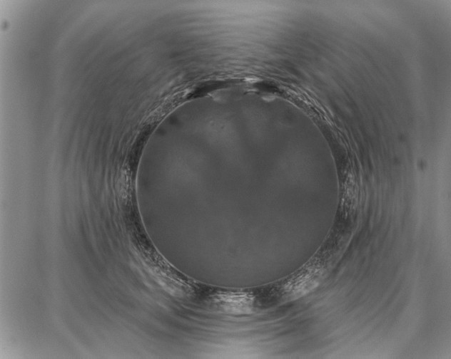 X0000086880659200704231104