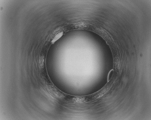 X0000086880660200704231104