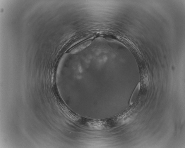 X0000086880661200704231104