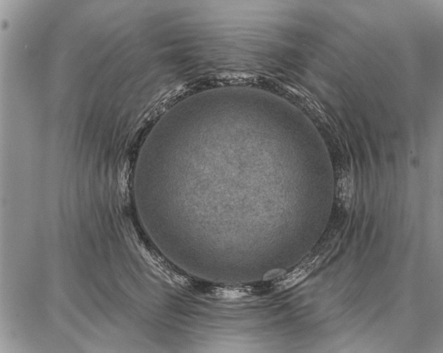 X0000086880662200704231104