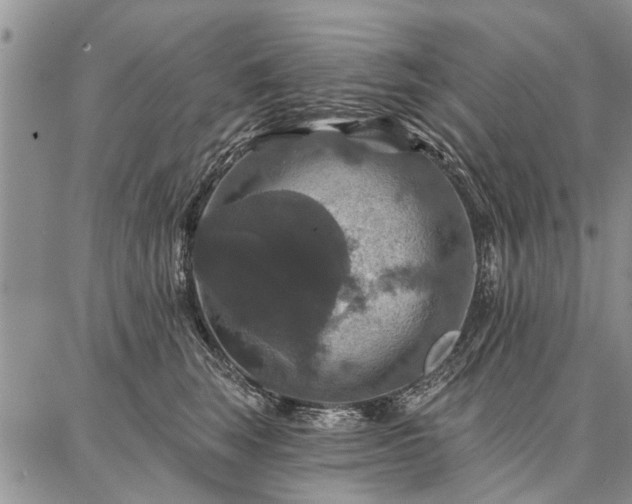 X0000086880663200704231104