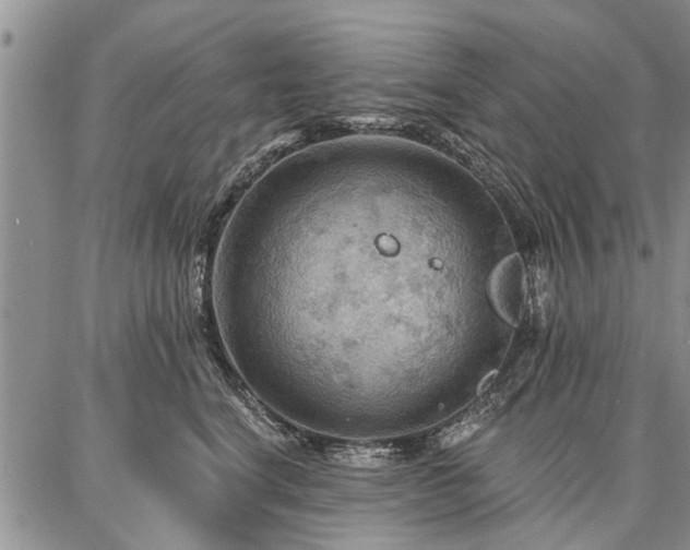 X0000086880664200704231104