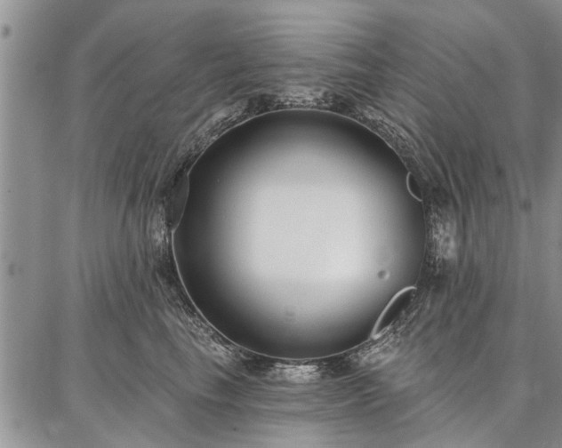 X0000086880665200704231104