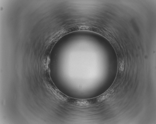 X0000086880666200704231104