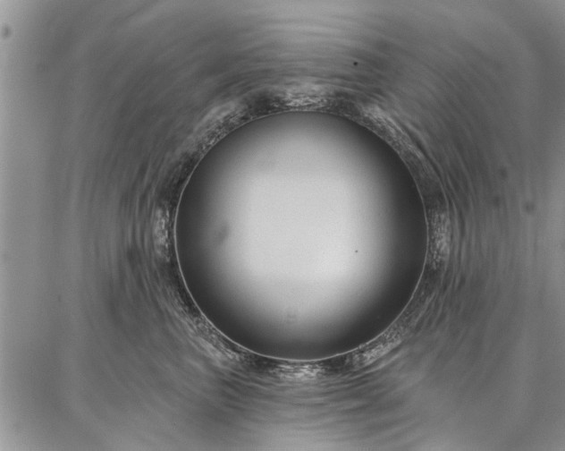 X0000086880667200704231104