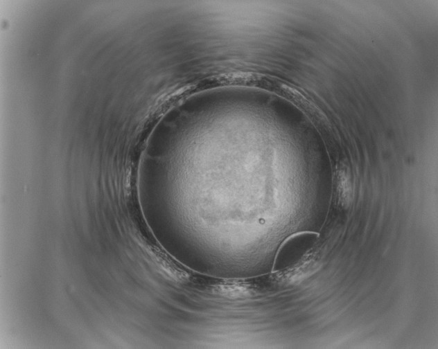 X0000086880668200704231104