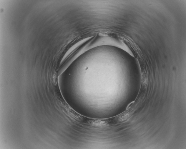 X0000086880669200704231104