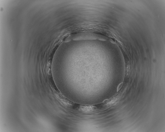 X0000086880671200704231104