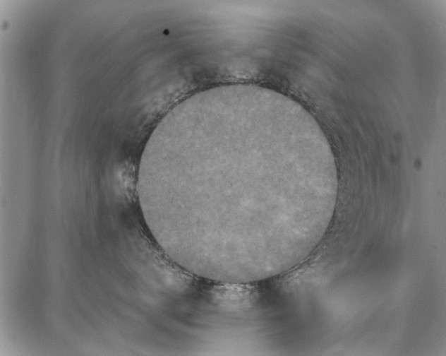 X0000086880672200704231104