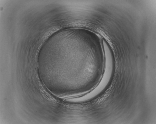 X0000086880673200704231103