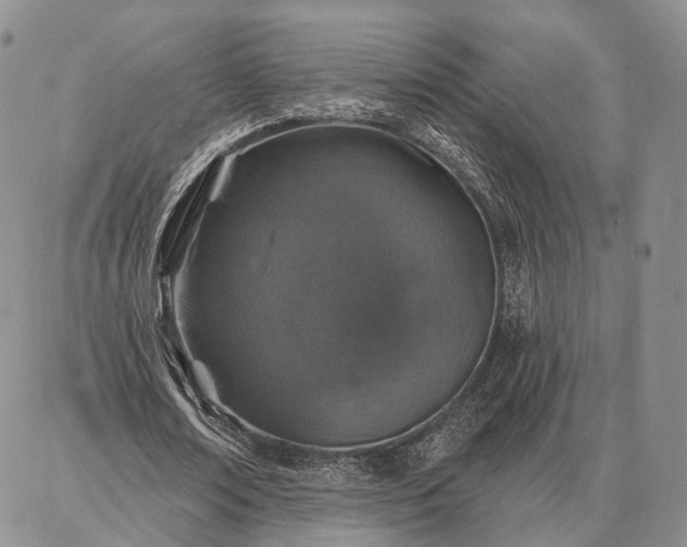 X0000086880674200704231103