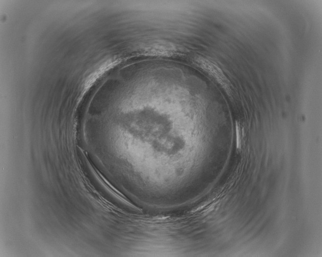 X0000086880675200704231103