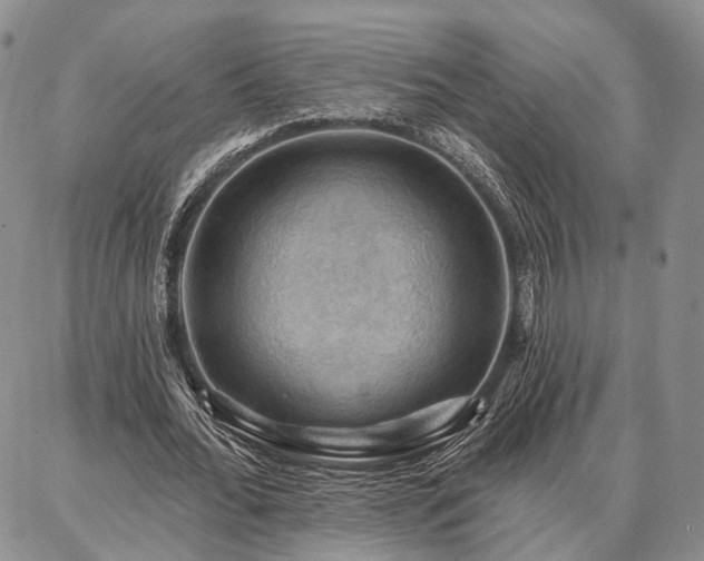 X0000086880676200704231103