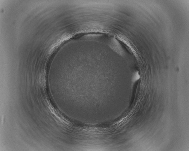 X0000086880677200704231103