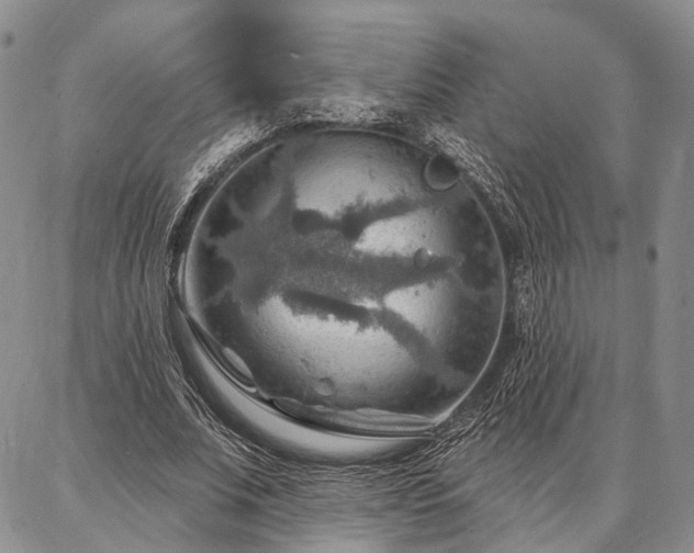 X0000086880679200704231103