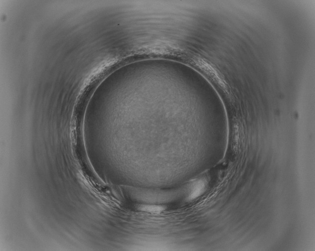 X0000086880680200704231103