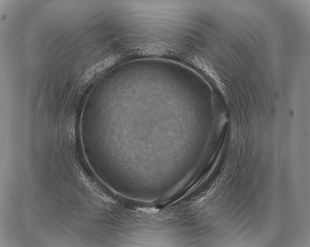 X0000086880681200704231103