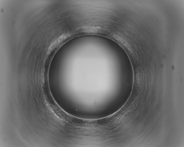 X0000086880682200704231103